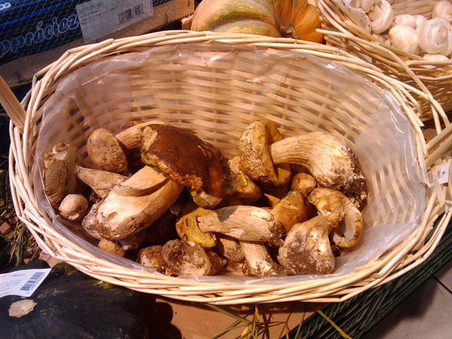 Mushrooms on sale at Auchan