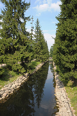 Wald-Park