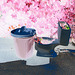 Bol de toilette botanique avec poubelle / Botanical toilet bowl & garbage - Négatif RVB