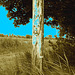 Human post / Poteau humain - Dans ma ville / Hometown. 14 juillet 2009 - Sepia au ciel bleu photofiltré.