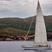 Sailing boat crossing along Korčula island