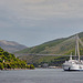 A ferry ship passes the Franjo Tuđman bridge