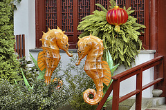 Seahorse Lanterns – Chinese Garden, Montréal Botanical Garden