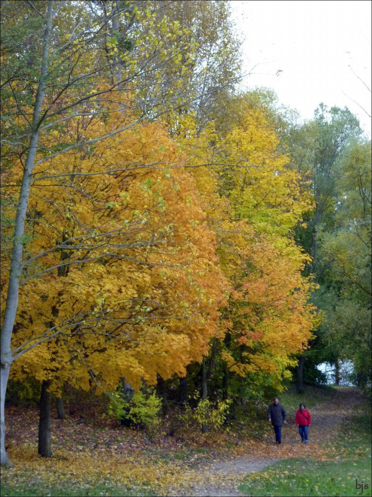 Promenade d'automne