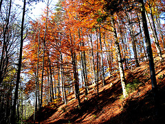 Herbst 2007