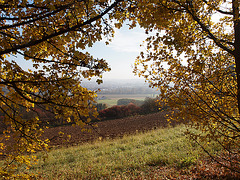 Herbst am Münchshofener Berg