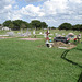 Funeral shade / Ombre funéraire -  Hranice & St-Joseph's cemeteries - Texas. USA - 5 juillet 2010