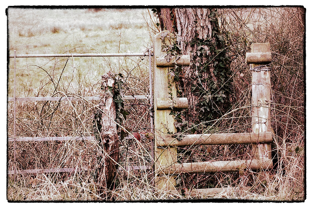 HFF - Neglected fence