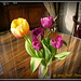 Tulips in Rushton Hall