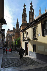 Calle Oficios. Granada