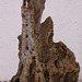 20110206 9680RAw Baum-Holz, Gruga-Park