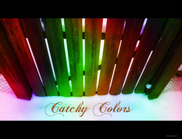 Catchy Colors