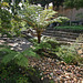 Balboa Park Zoro Garden (8070)