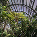 Balboa Park Botanical Pavilion (8083)