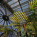Balboa Park Botanical Pavilion (8084)