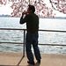 125.CherryBlossoms.TidalBasin.SW.WDC.31March2006