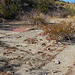 Building Remains at Miracle Hill & Two Bunch Palms Trail (0420)
