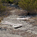 Building Remains at Miracle Hill & Two Bunch Palms Trail (0425)