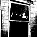 Fantômes observateurs / Observant ghosts - Vardaman, Mississippi. USA - 9 juillet 2010.