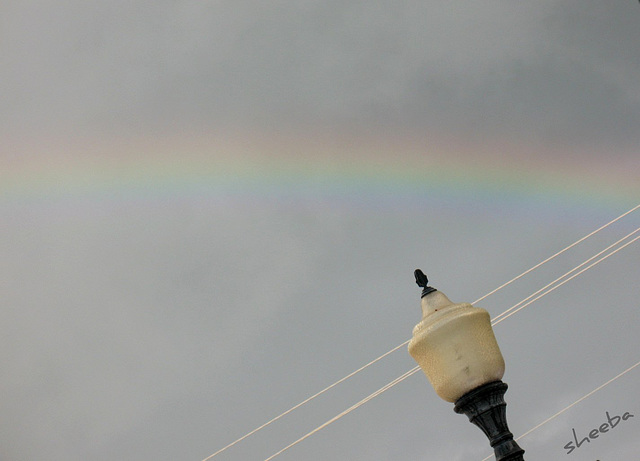 A Rainbow for - Tin Can Gypzees...