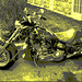 Harley Davidson / Cegep de Rimouski - Québec, Canada. 23 juillet 2005 - Vintage postérisé