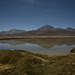 Chile Altiplano