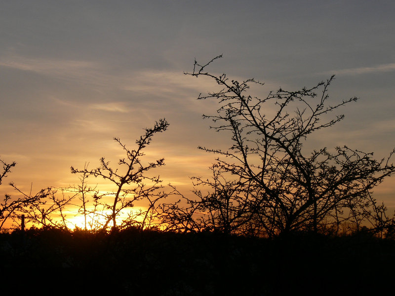 Sonnenuntergang 2011-02-06