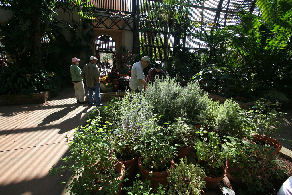 Balboa Park Botanical Pavilion (8117)