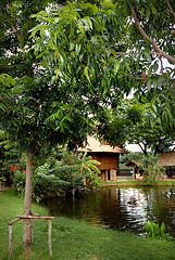 The Thai-Songdam Village" บ้านโซ่ง