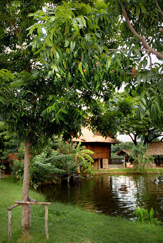 The Thai-Songdam Village" บ้านโซ่ง