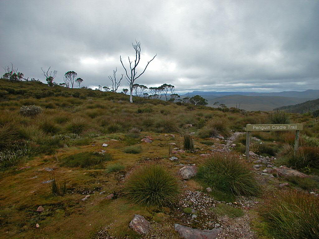 Cradle Mountain