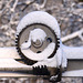 20101218 9035Aw [D~LIP] Wehrtechnik im Schnee, UWZ, Bad Salzuflen