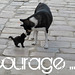 ~ Courage ~
