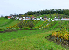 Kellergasse "Galgenberg" bei Wildendürnbach