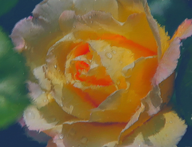 Digital painting rose Cadeau de Jacques Rung