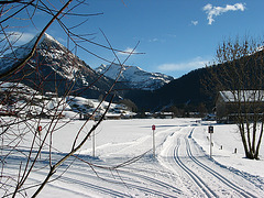 Skilanglaufparadies - Bregenzer Wald