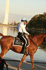 290.ObamaMessageBoard.LincolnMemorial.WDC.7November2008