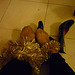 Christiane !!  Escarpins Noëliens et guirlandes / Christmas high heels shoes and tinsels display