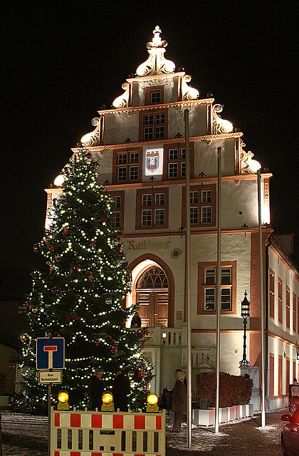 20101203 8970Aaw Weihnachtstraum Altes Rathaus BS