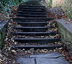 leafy steps