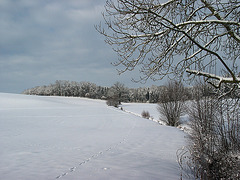 Winterspaziergang - Weihnachten 2010