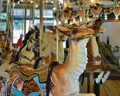 Carousel Reindeer – Glen Echo Park, Maryland