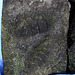 20110108 9229Aw [D~LIP] Relief, Steinernes Tor, UWZ, Bad Salzuflen
