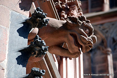 Strasbourg :la Cathédrale 68 gargouilles