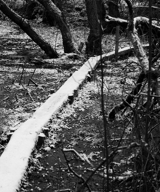 snowy path across the sinking mud