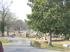 Myrtle Hill Cemetary - #2