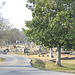 Myrtle Hill Cemetary - #2