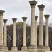 Old Capitol Columns #2 – National Arboretum, Washington D.C.