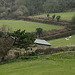 Devon fields