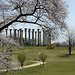 Old Capitol Columns #1 – National Arboretum, Washington D.C.